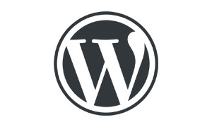 Icon Wordpress agence web